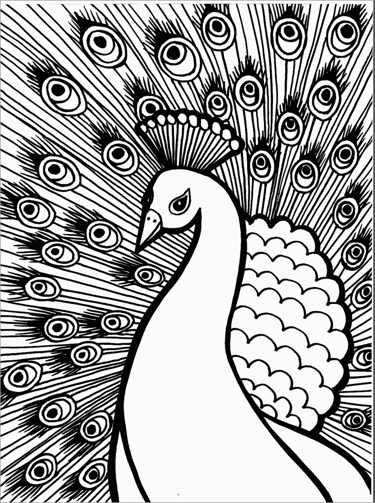 Get 85 Printable Coloring Pages Of Peacocks Ideas 52