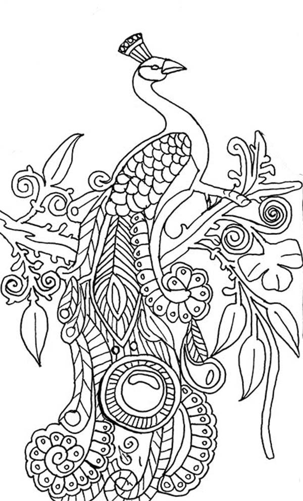 Get 85 Printable Coloring Pages Of Peacocks Ideas 55