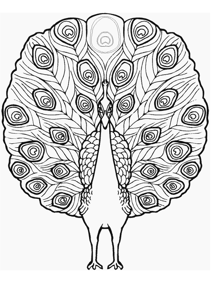 Get 85 Printable Coloring Pages Of Peacocks Ideas 64