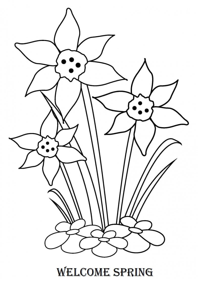 Get 85 Spring Flowers Coloring Ideas 12