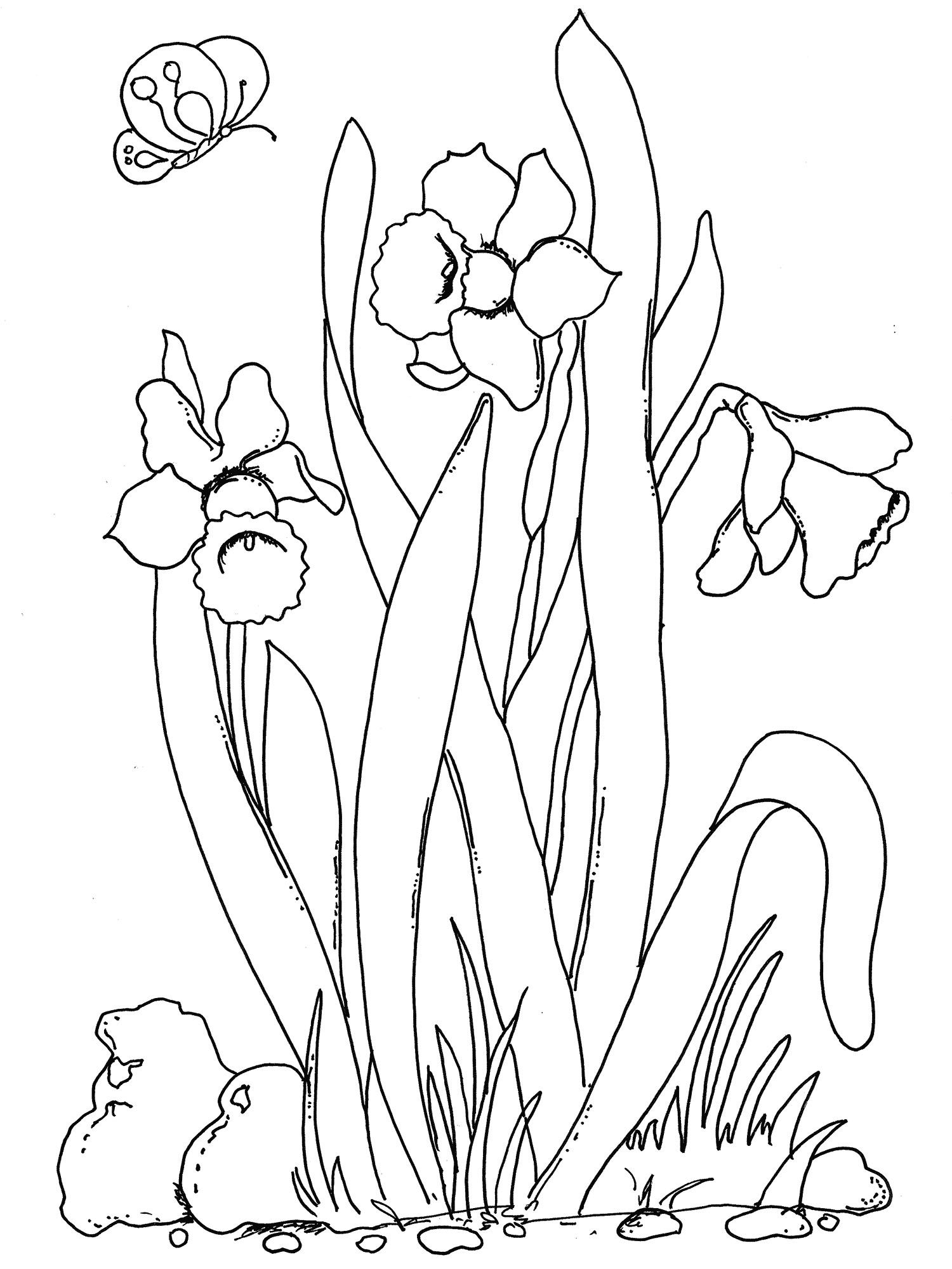 Get 85 Spring Flowers Coloring Ideas 4