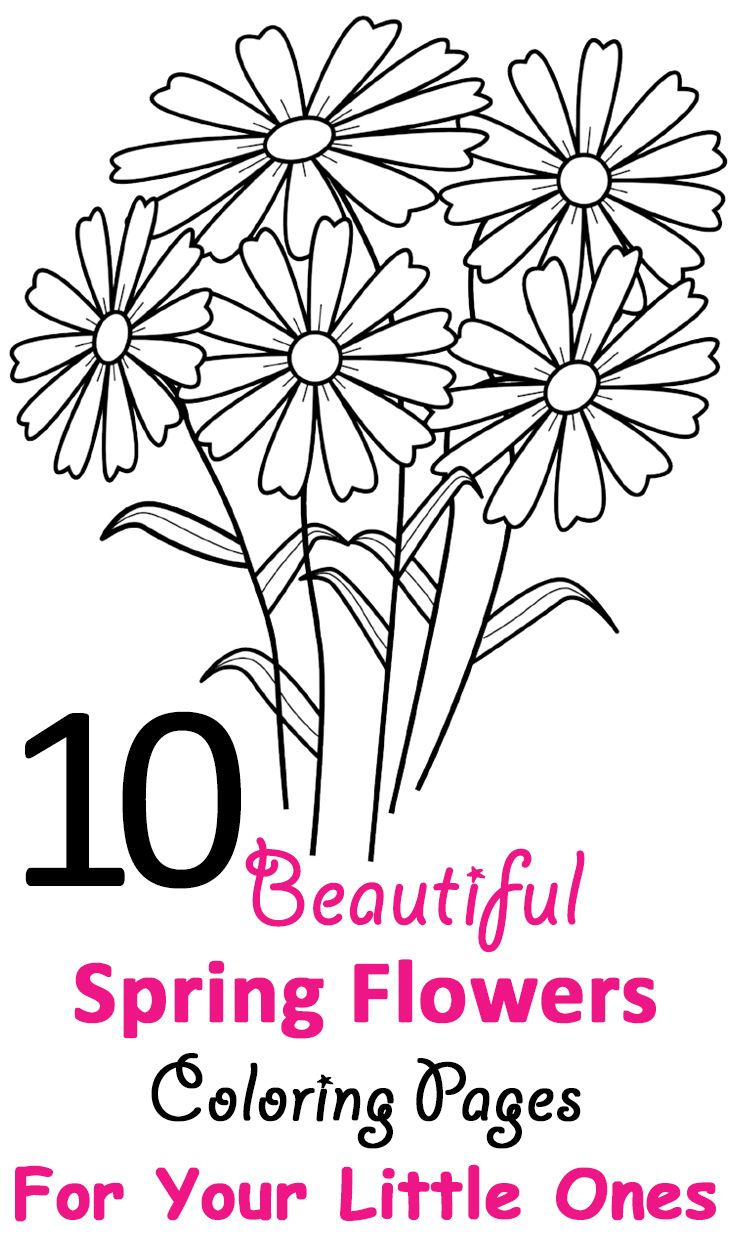 Get 85 Spring Flowers Coloring Ideas 8